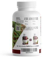 ProFuel CORDYCEPS Vitalpilz 180 Kapseln